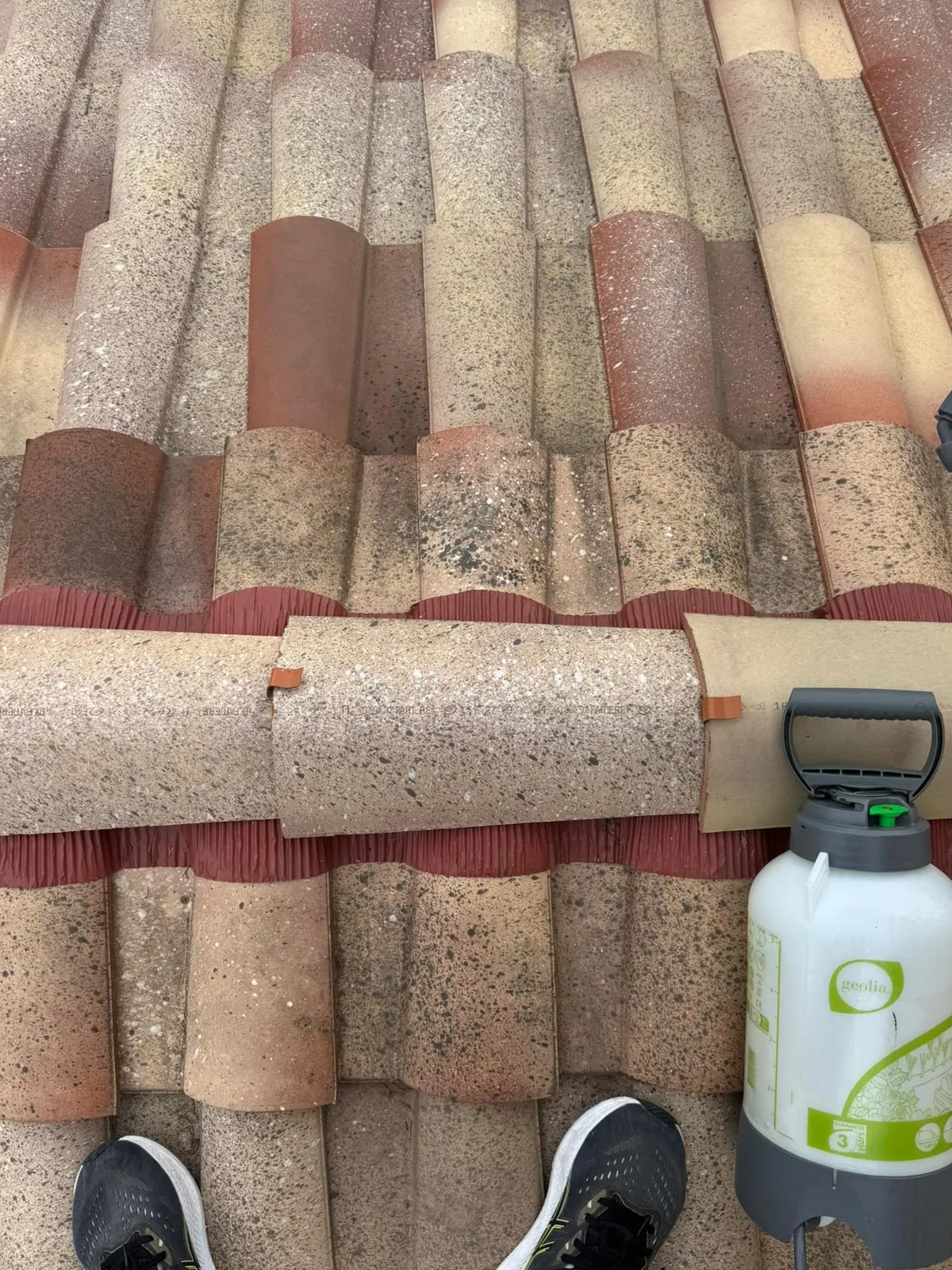 Nettoyage et démoussage de toiture en Haute-Garonne